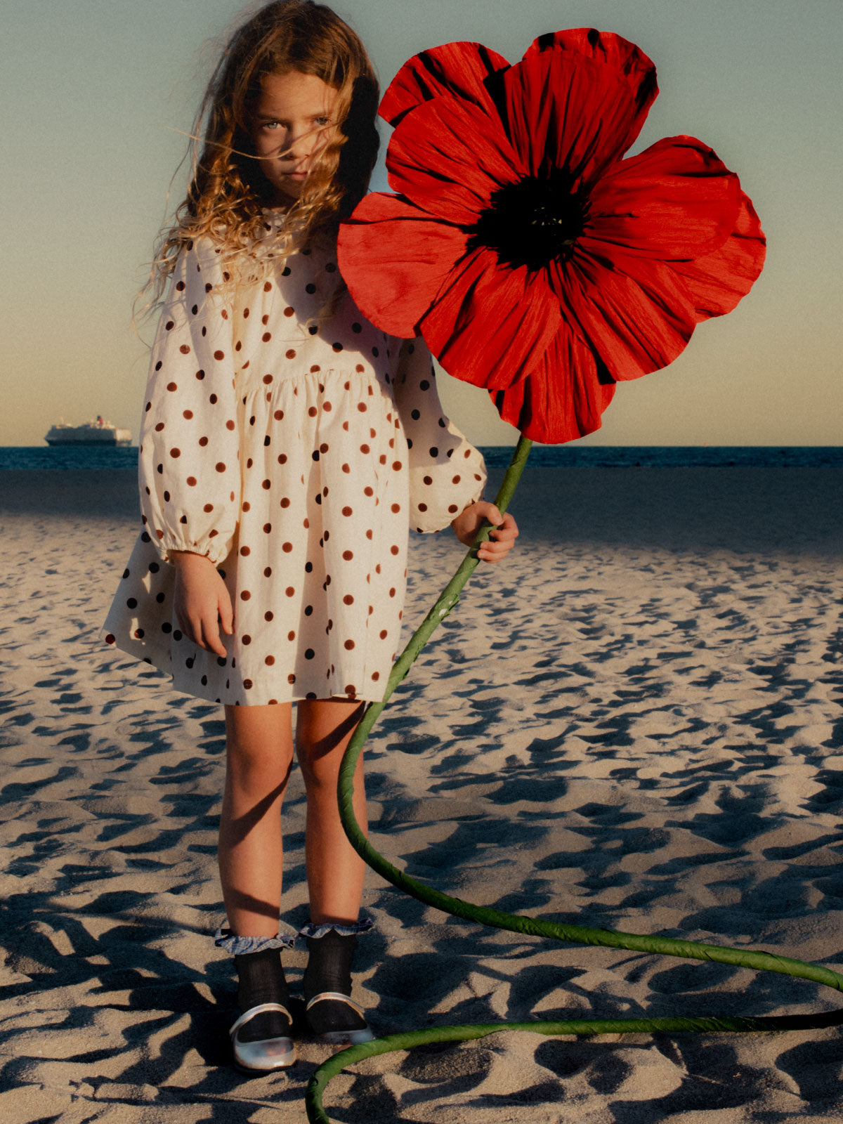 Young girl holding a large red flower on a sandy beach with a ship in the distance.
